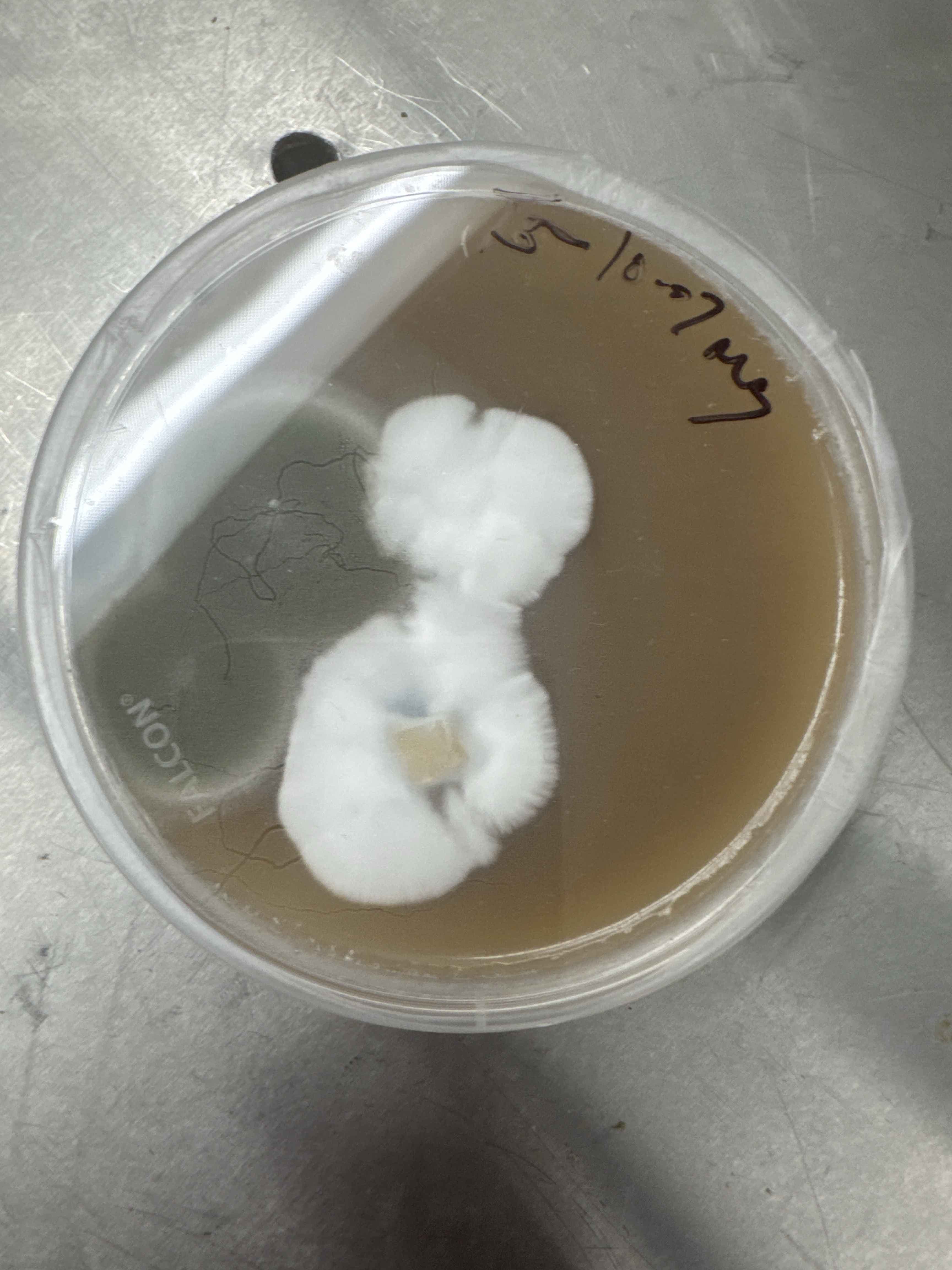 Contamination analysis reference